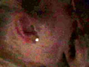 My gf sucking my flannel