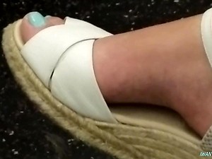 Ingenuous trotters 2