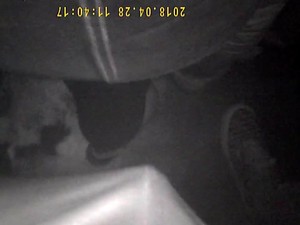 Encoxada Rapport 5 P1