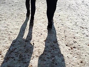 Spandex leggings in sight