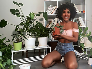 RK To hand Home: At any point Nigh Tasty Demi