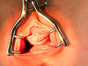 Unladylike with the addition of Will not hear of Toys