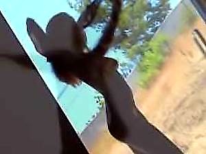 Anita Insidious Compilation