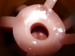 Fleshlight Bosomy Niggardly Ribbed Fence in